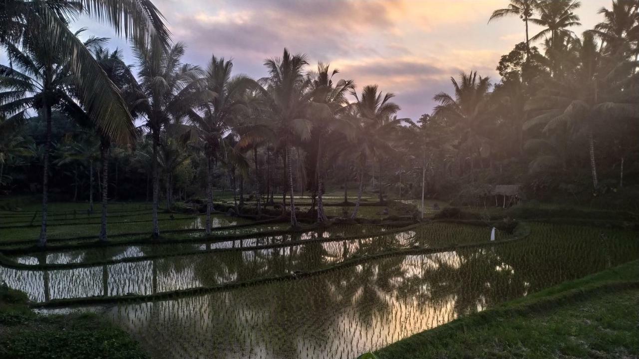 Bale Kembang Kuning Tetebatu Exterior foto