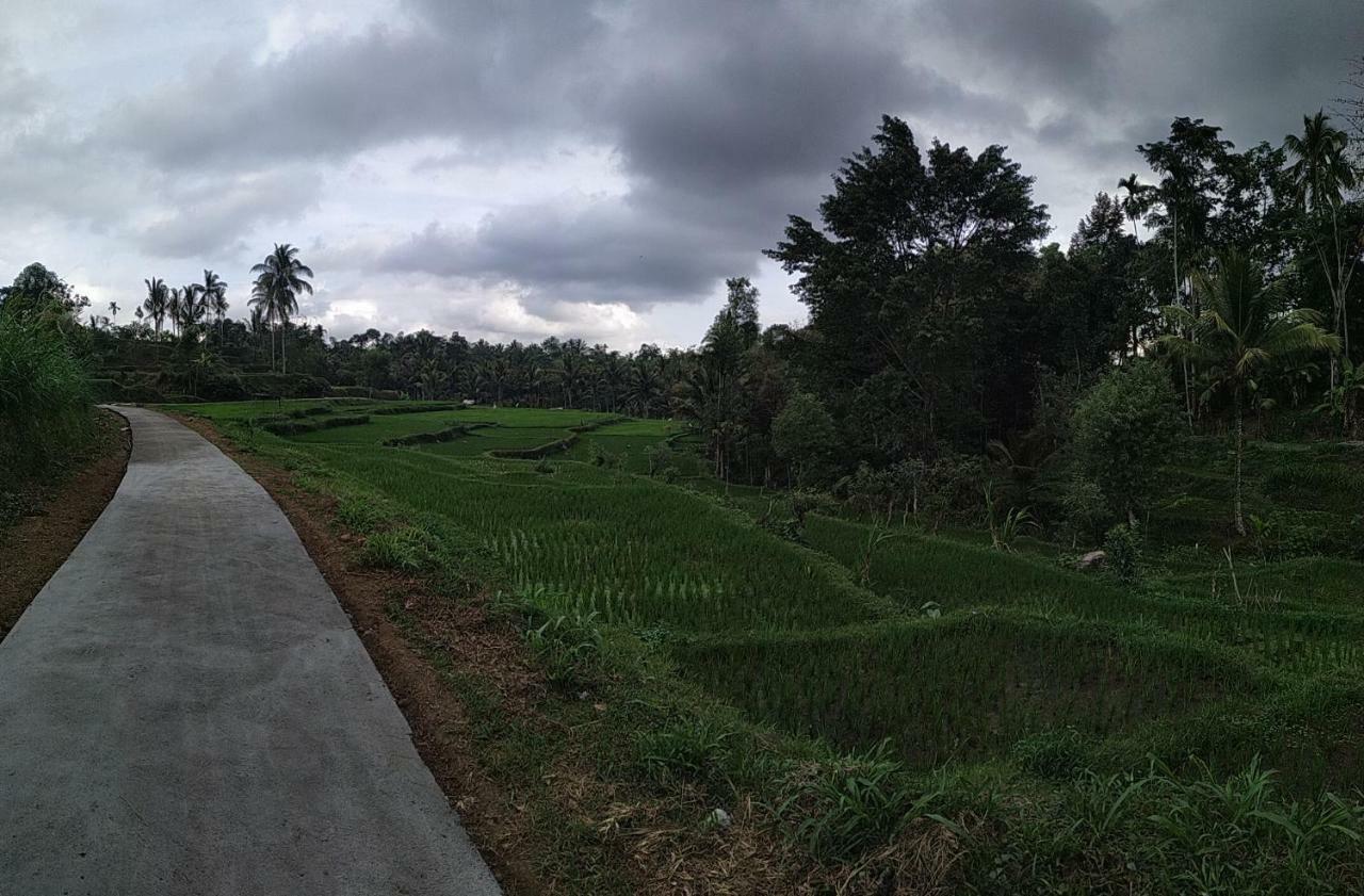 Bale Kembang Kuning Tetebatu Exterior foto
