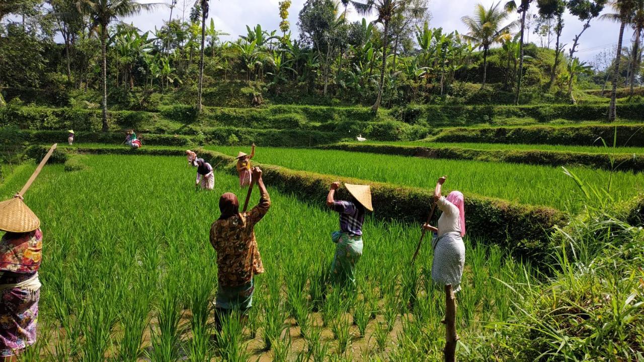 Bale Kembang Kuning Tetebatu Exterior foto